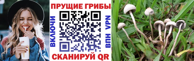 Псилоцибиновые грибы Magic Shrooms  Арсеньев 