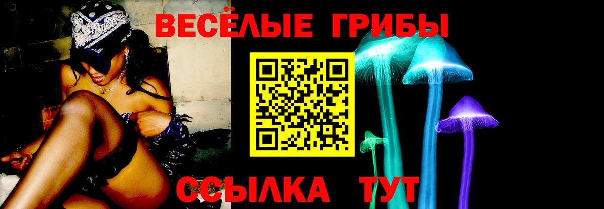 Псилоцибиновые грибы MAGIC MUSHROOMS Арсеньев